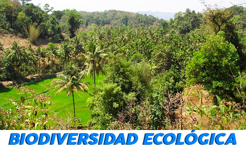 biodiversidad ecológica