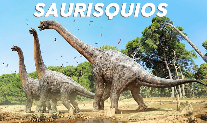 saurisquios