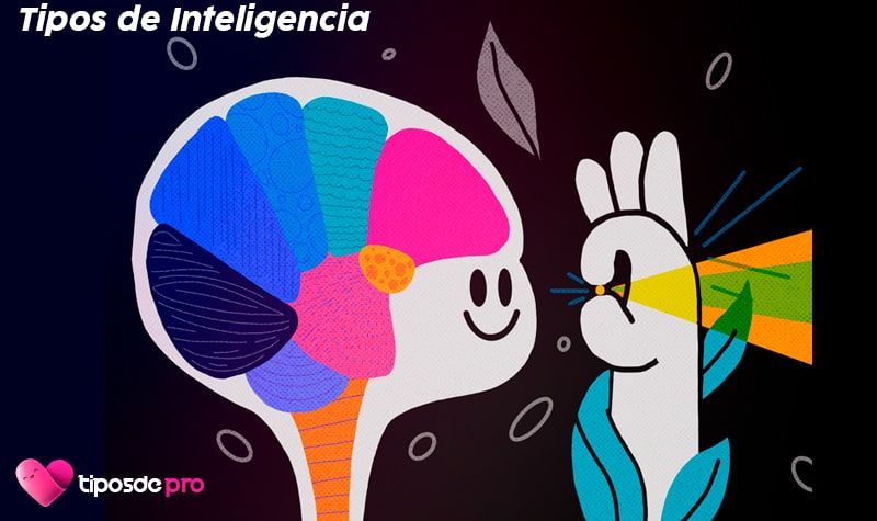 tipos de inteligencia